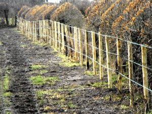 farm-fence2